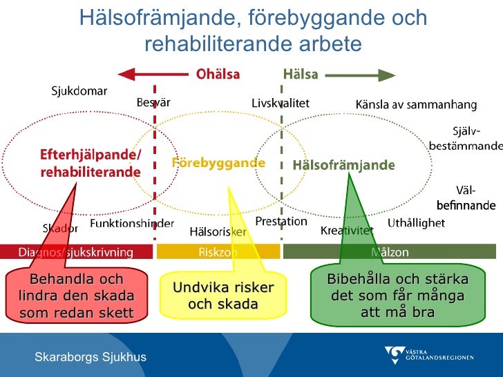 hälsofrämjande processer på arbetsplatsen hälsofrämjande processer på arbetsplatsen